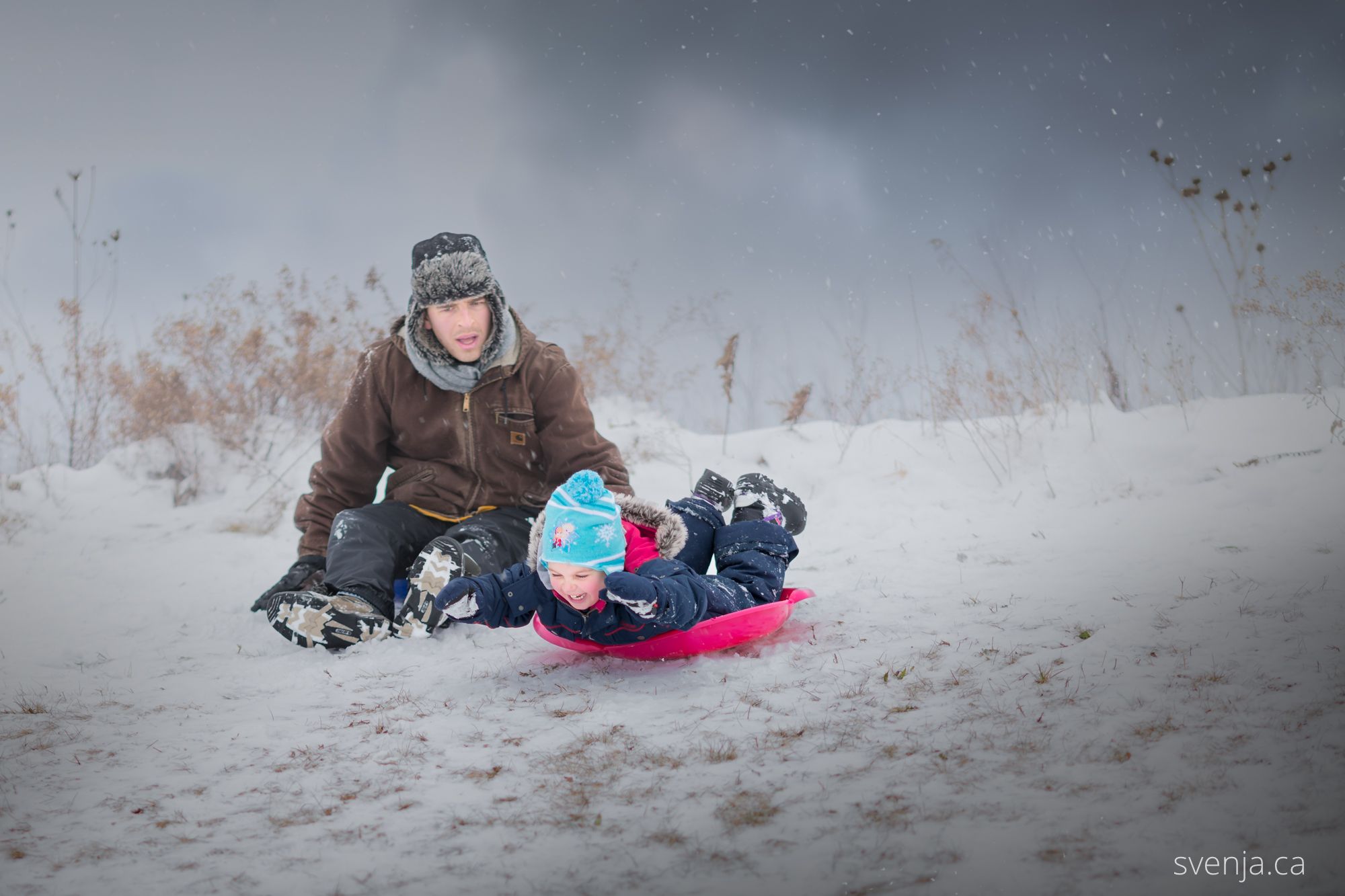 a young girl goes head-first on a sled down a hill, startling her father