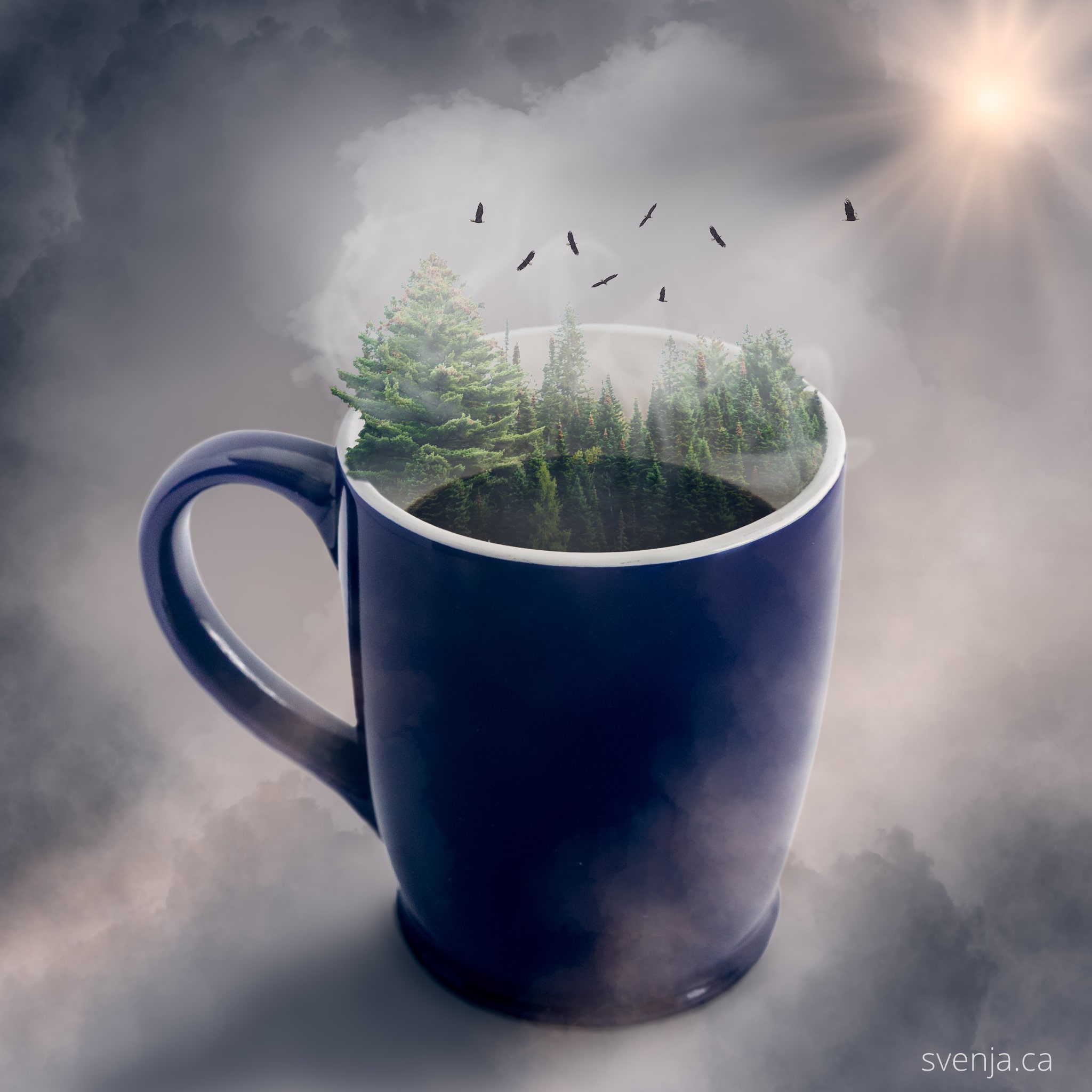 image of a coffee much with a forest emerging from the cup