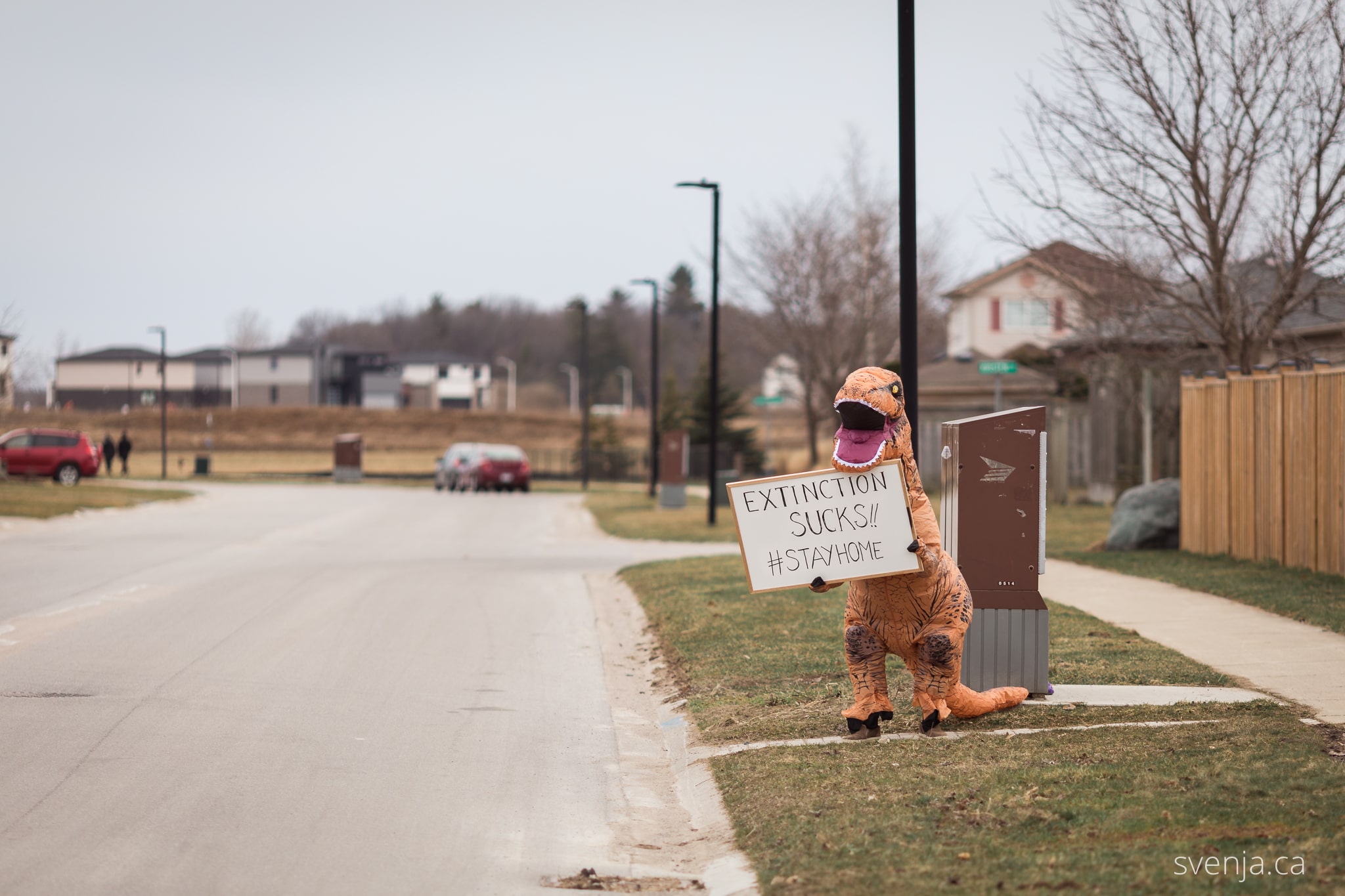 a man in a dinosaur costume holds a sign on the street that reads 'Extinction Sucks #StayHome