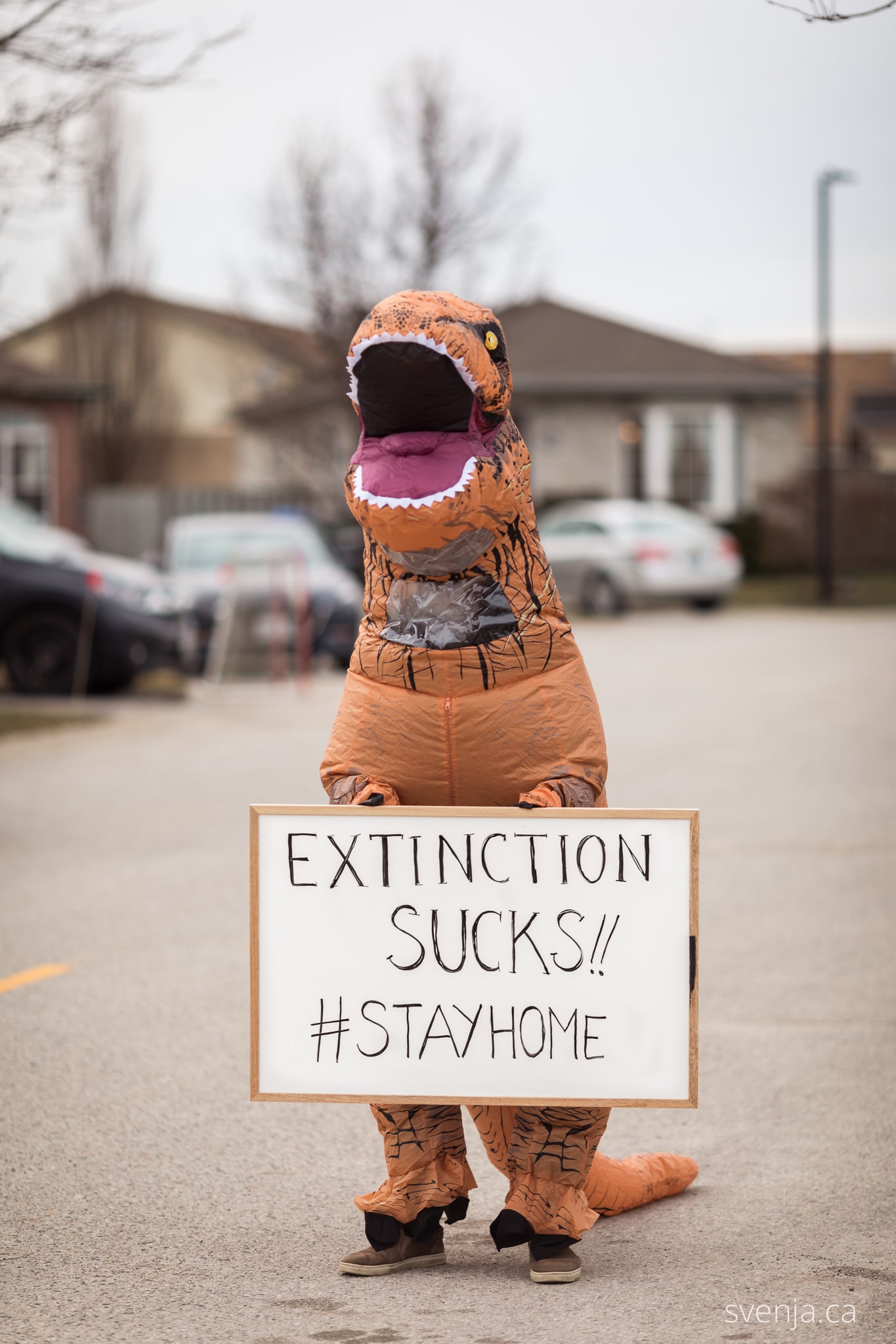 a man in a dinosaur costume holds a sign on the street that reads 'Extinction Sucks #StayHomeh