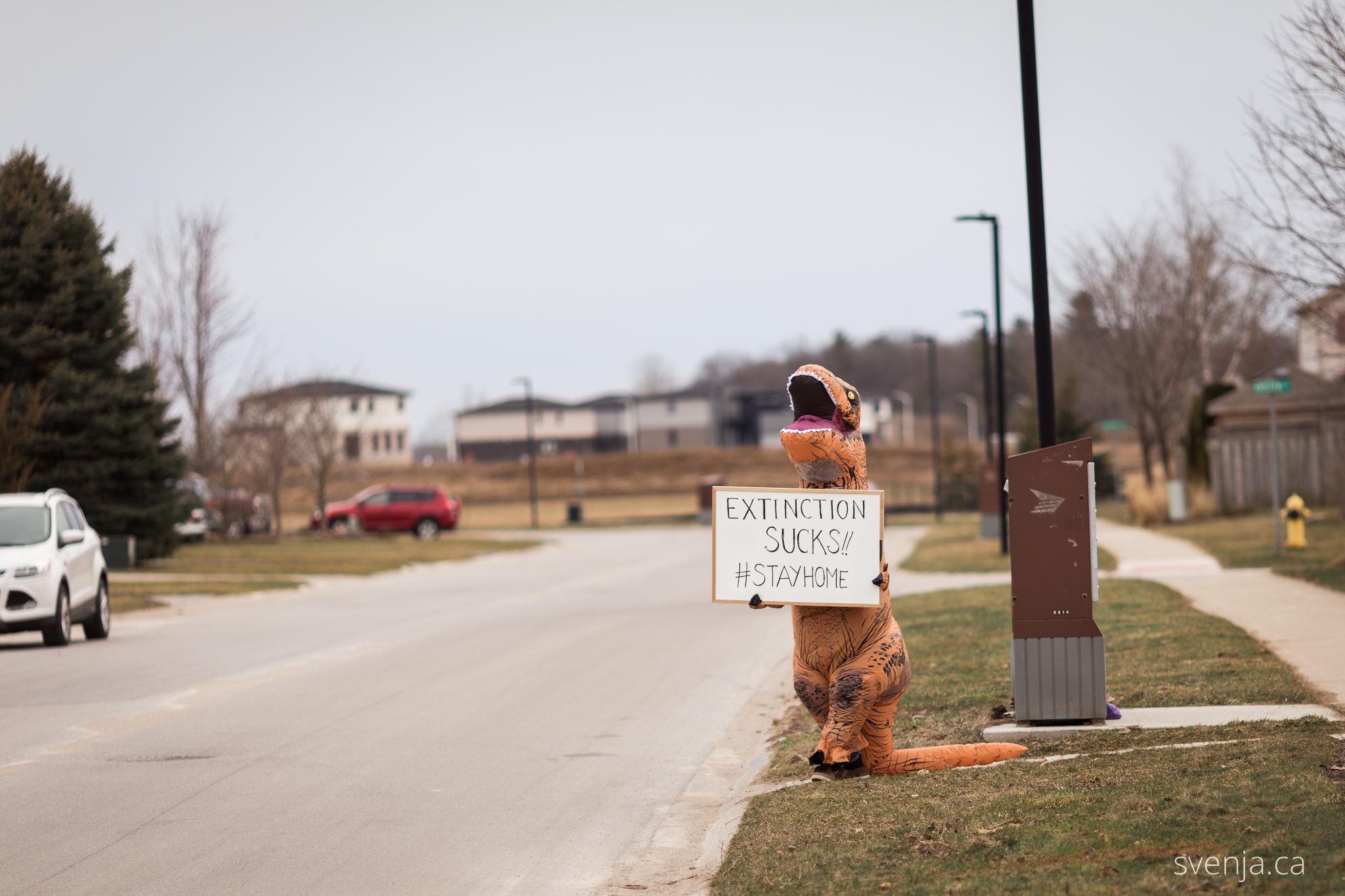 a man in a dinosaur costume holds a sign on the street that reads 'Extinction Sucks #StayHome