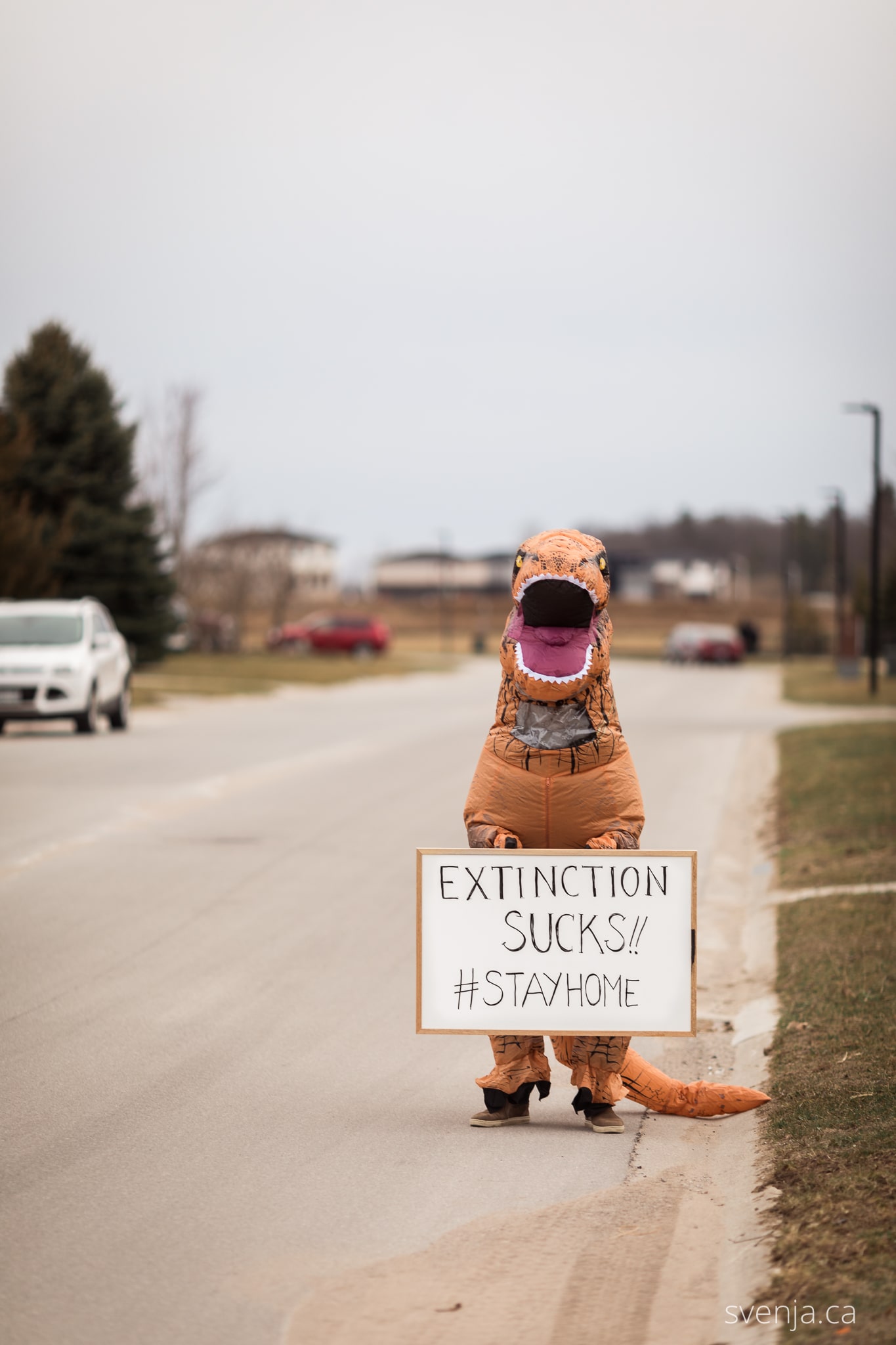 a man in a dinosaur costume holds a sign on the street that reads 'Extinction Sucks #StayHome