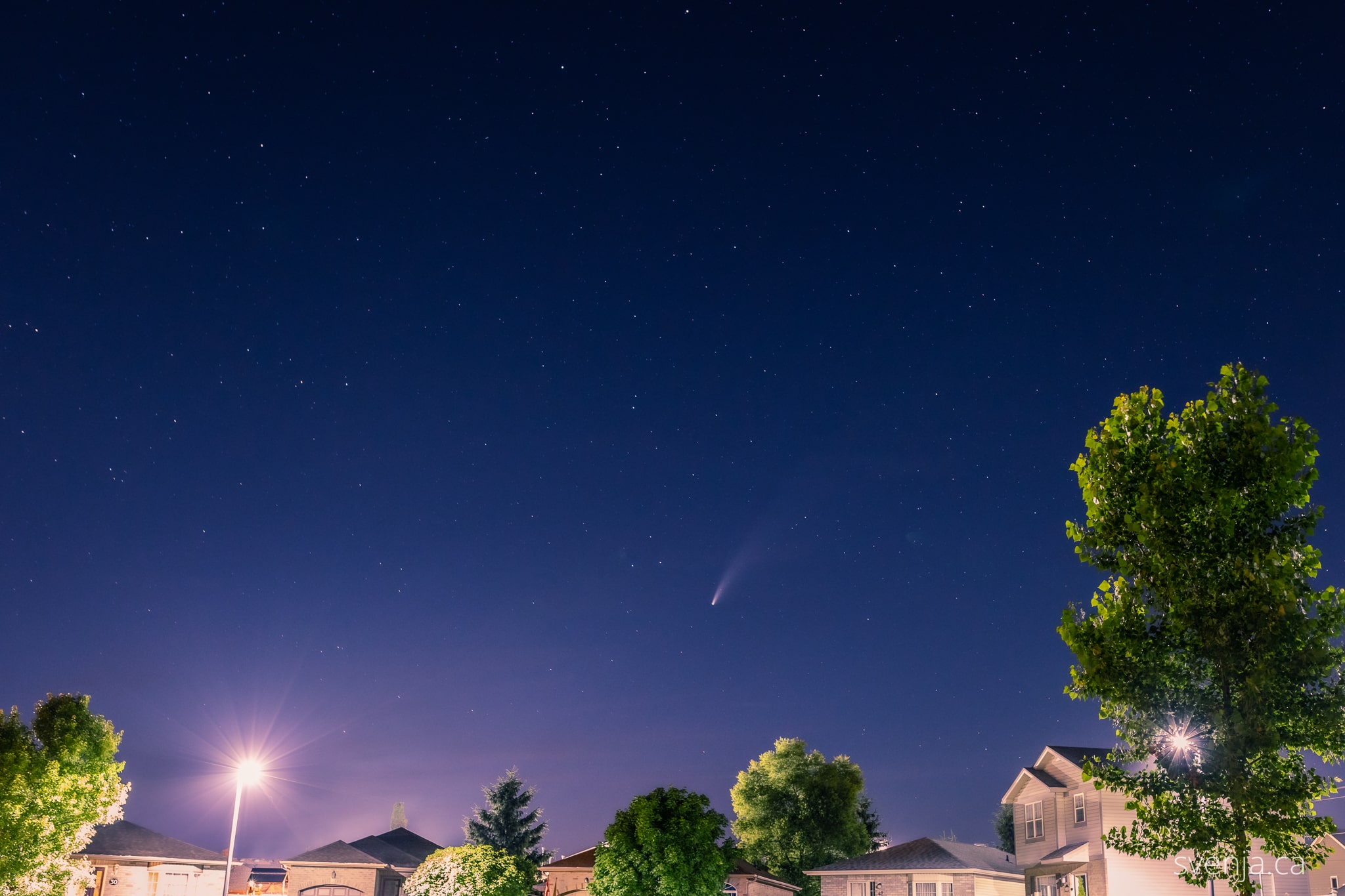 comet Neowise appears in a starry sky above a neighbourhood