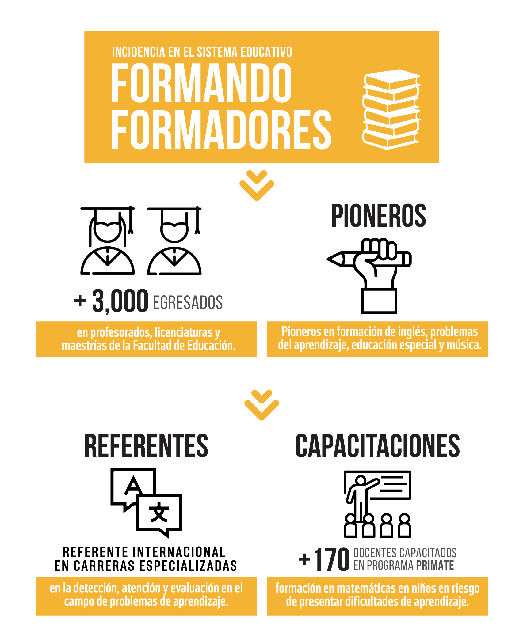 Infografía Incidencia en el sistema educativo