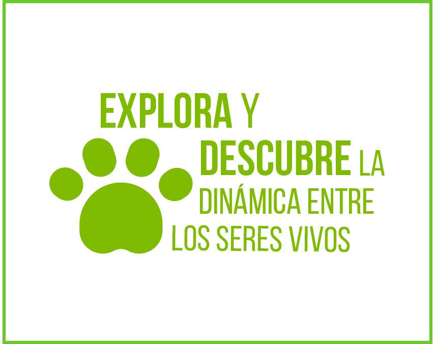 Banner de Biología UVG Banner de Biología UVG