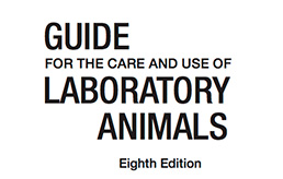 Vista previa Guía de cuidado de animales de laboratorio
