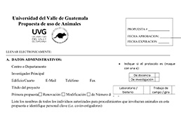 Vista previa Formatos del Ceuca UVG