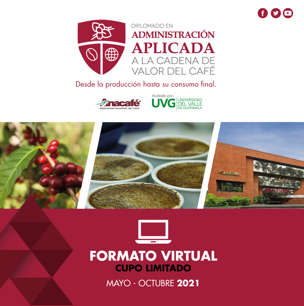 Diplomado en Administración Aplicada a la Cadena de Valor del Café - Ciclo 2021 | Formato virtual