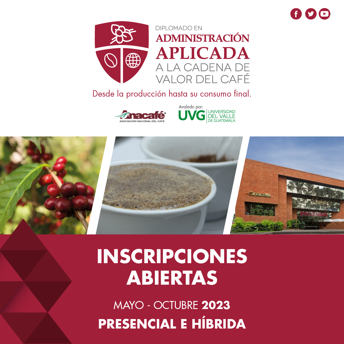 Diplomado en Administración Aplicada a la Cadena de Valor del Café