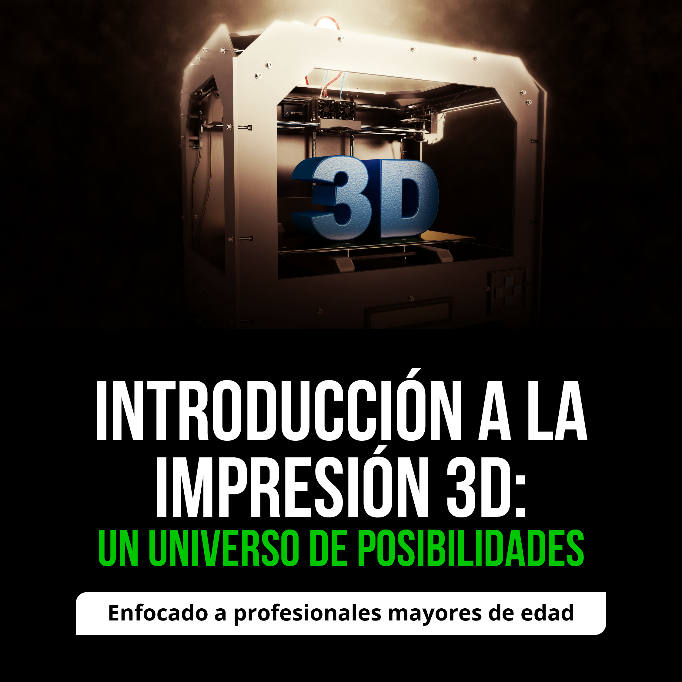 INTRODUCCIÓN A LA IMPRESIÓN 3D PARA MAYORES DE 18 AÑOS