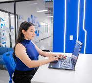 Descripción de la imagen