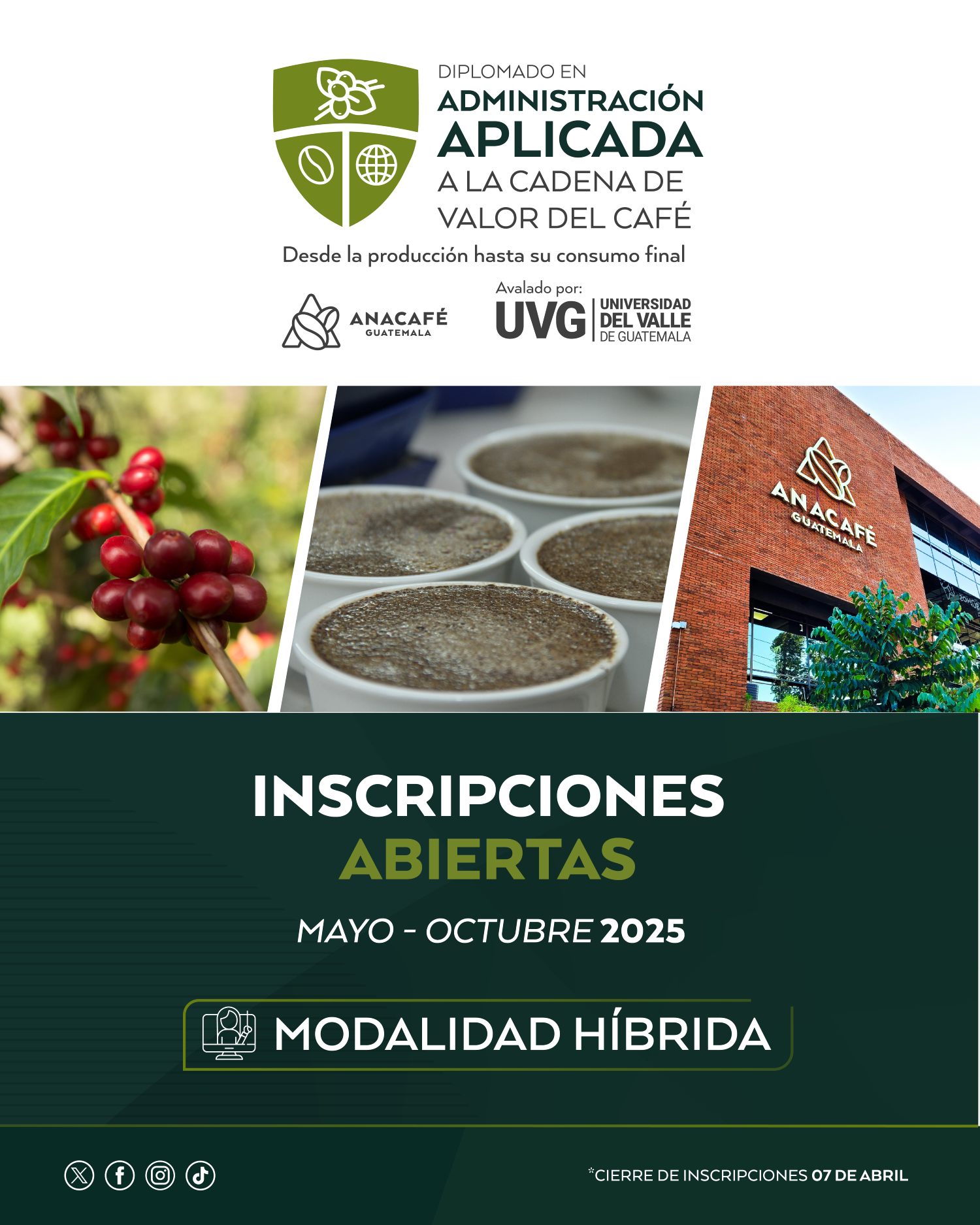 DIPLOMADO ADMINISTRACIÓN APLICADA A LA CADENA DE VALOR DEL CAFÉ