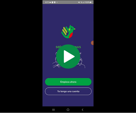 Ingeniería para el Desarrollo