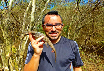 Nueva especie de serpiente en Guatemala