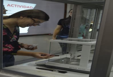 Aprender sobre la expresión de los colores en alimentos