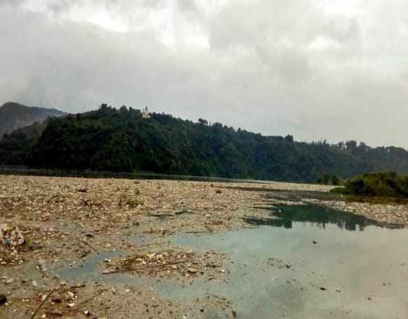 Ecotoxicología: Una herramienta para monitorear la contaminación ambiental