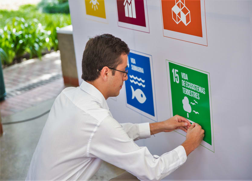 Celebración del Global Day y Día de la Independencia