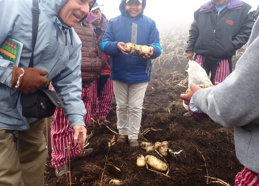 Manejo Sostenible de los Bosques en la región de Huehuetenango