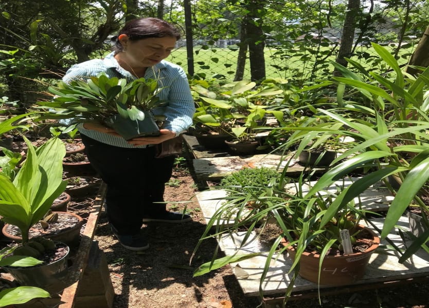 Charla sobre Orquídeas y visita a Jardín Botánico