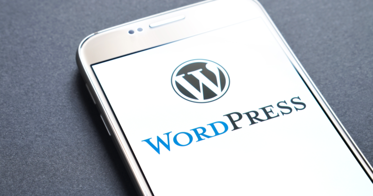 wordpress theme website and blog