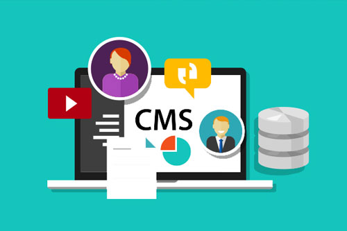 cms là gì