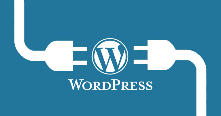 theme web bán hàng wordpress