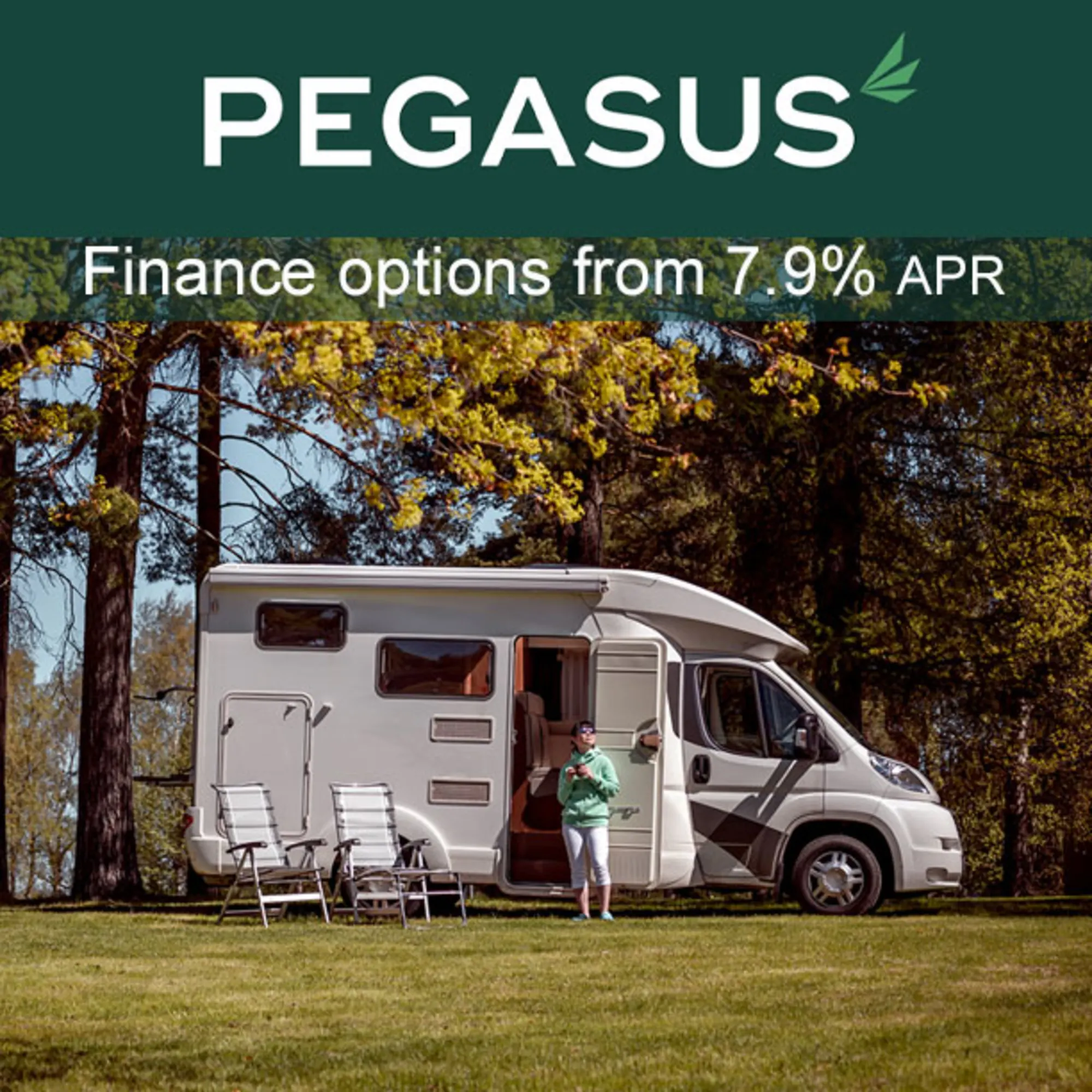 Pegasus Finance