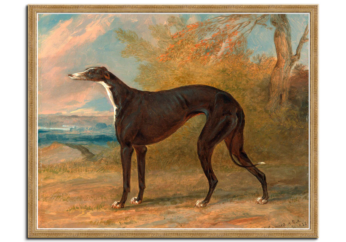 George Lane Foxs Winning Greyhound by 