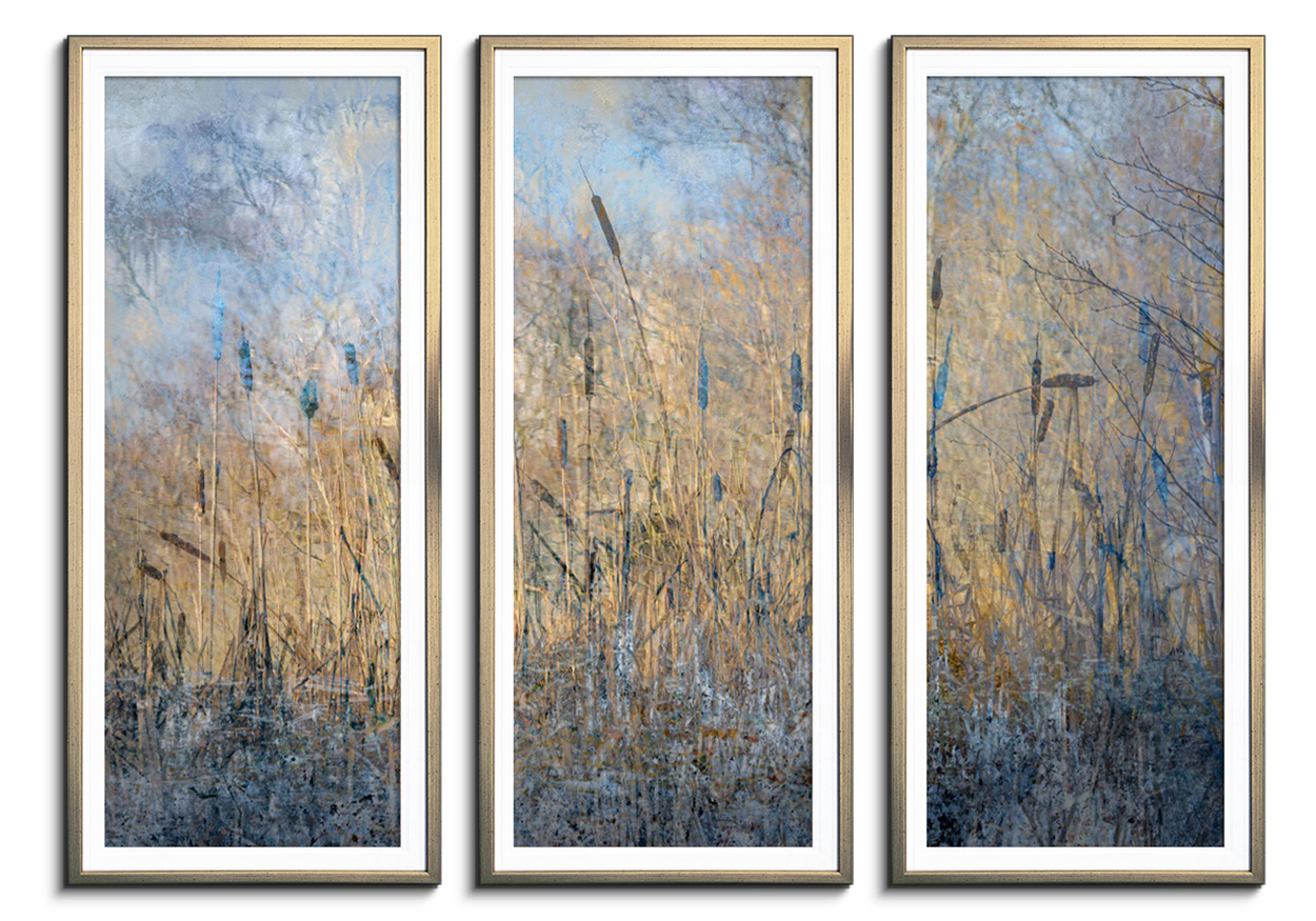 Winter rushes by Light - Triptych by 