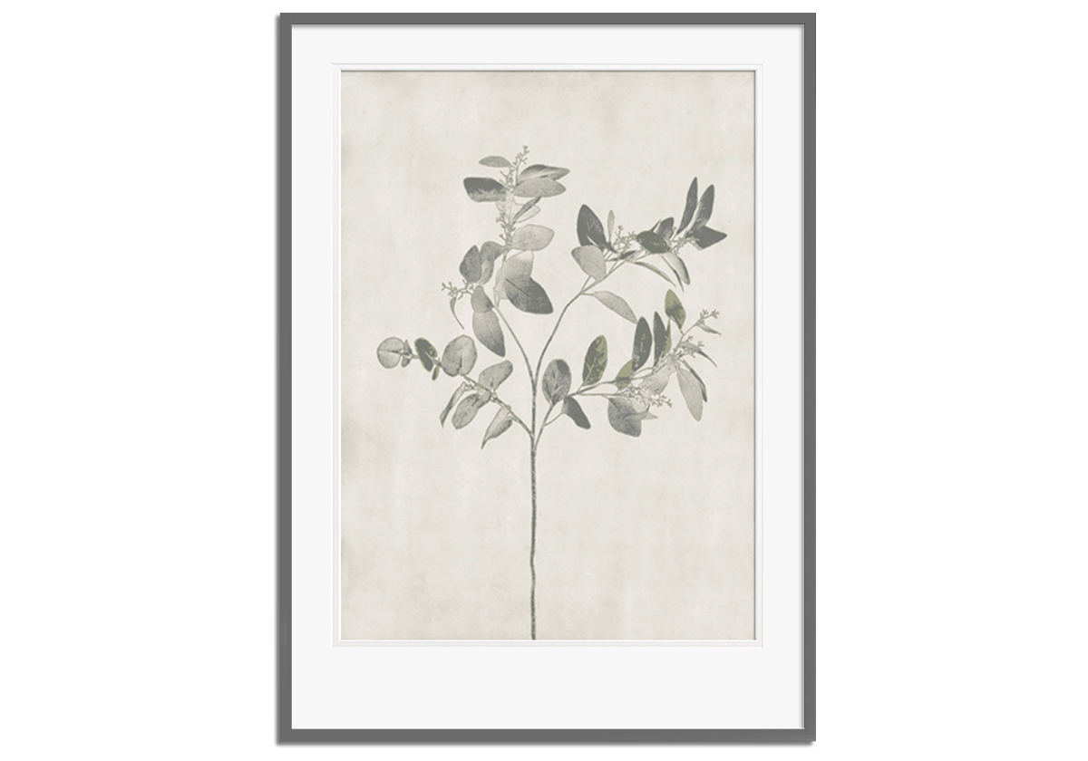 Floral Wild - Eucalyptus by 