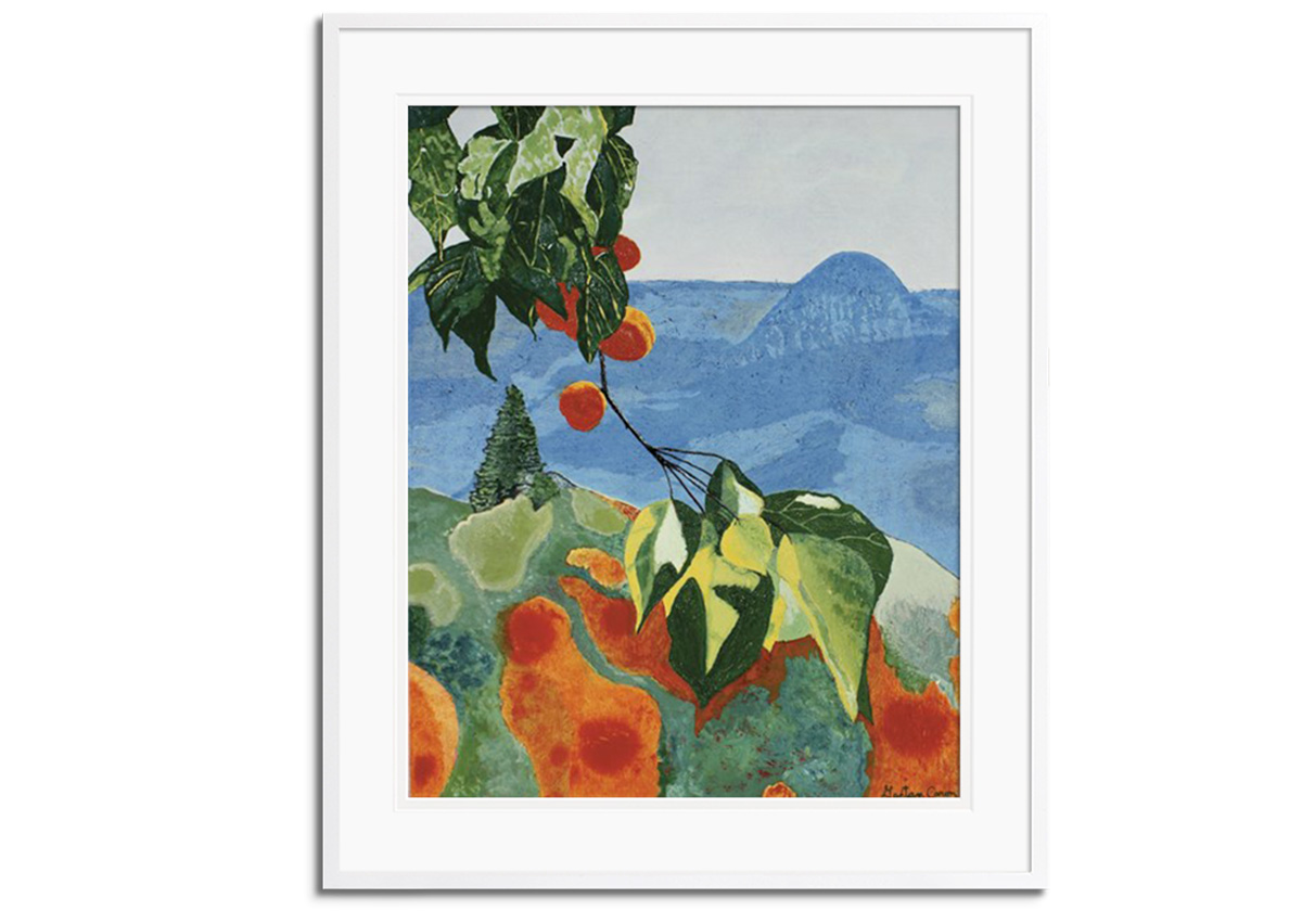 Apricots  by 