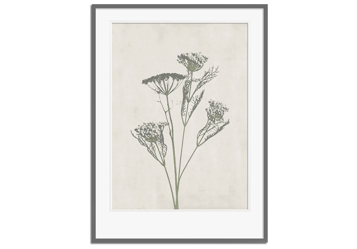 Floral Wild - Wild Dill by 