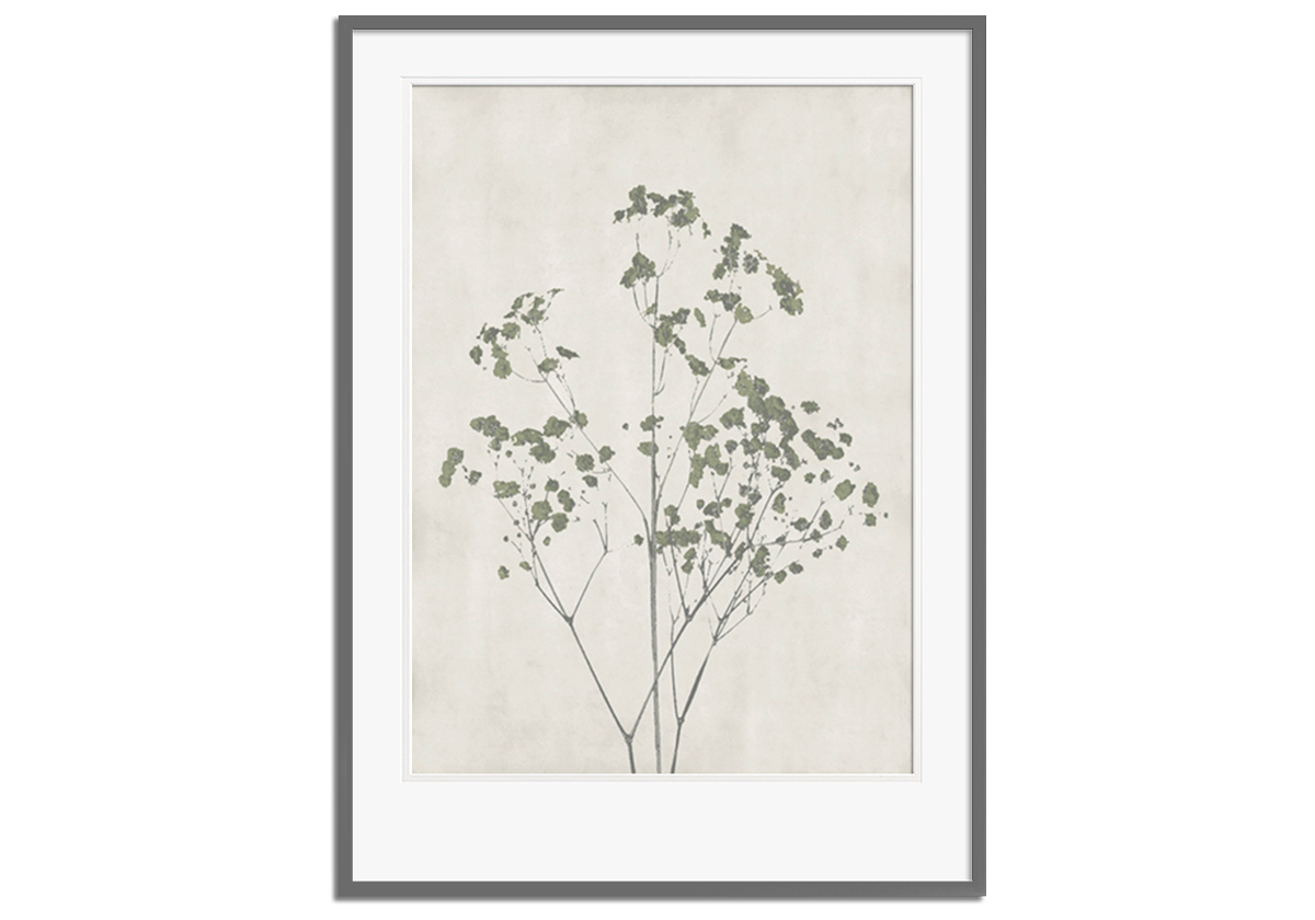 Floral Wild - Gypsophila by 