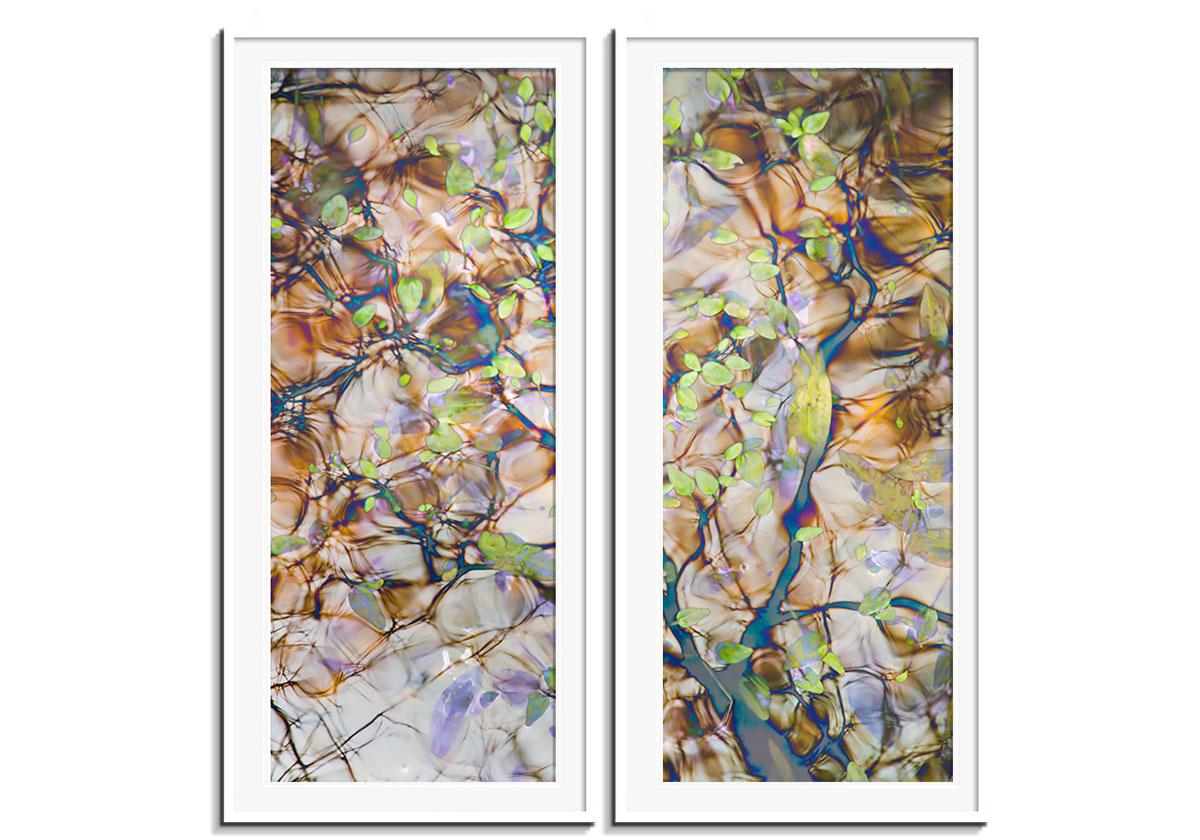 Winters Solace 6 - Diptych by 