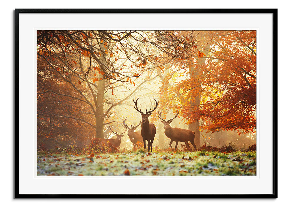 Realm of the Stag by 