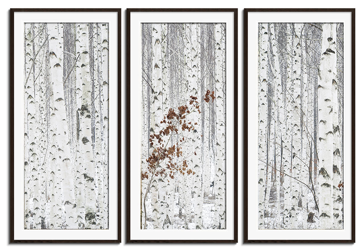 From White by 