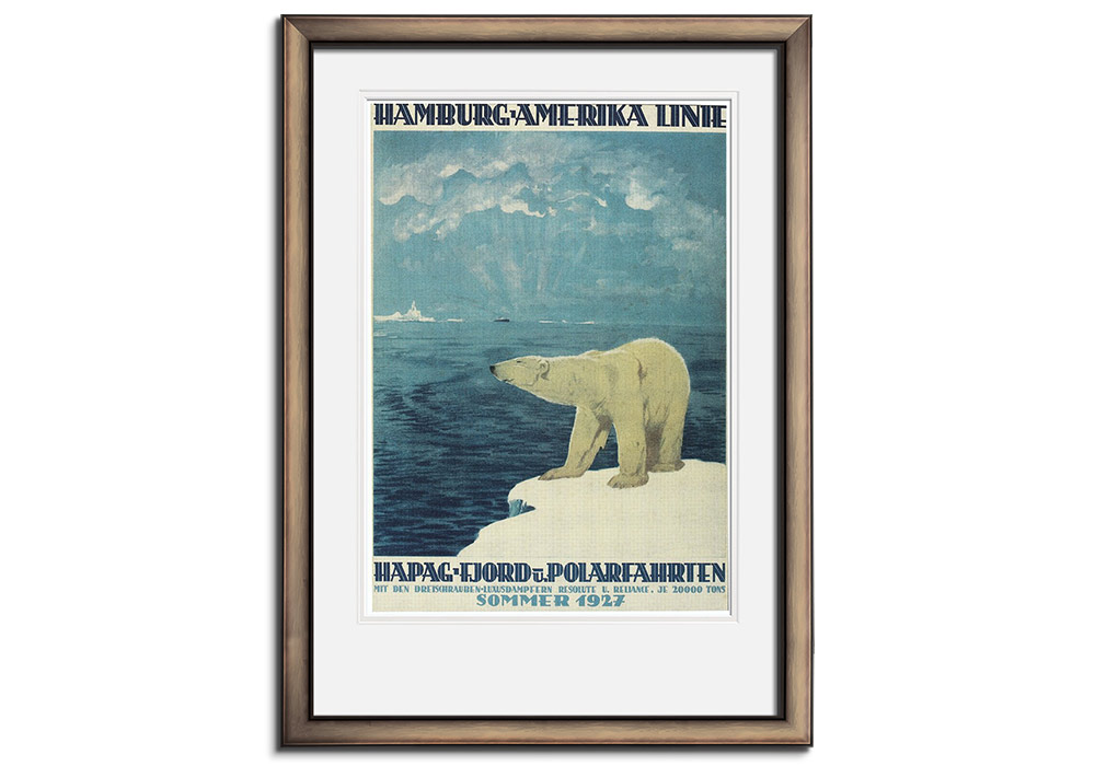 Polar Bear, Fjord Cruise by 