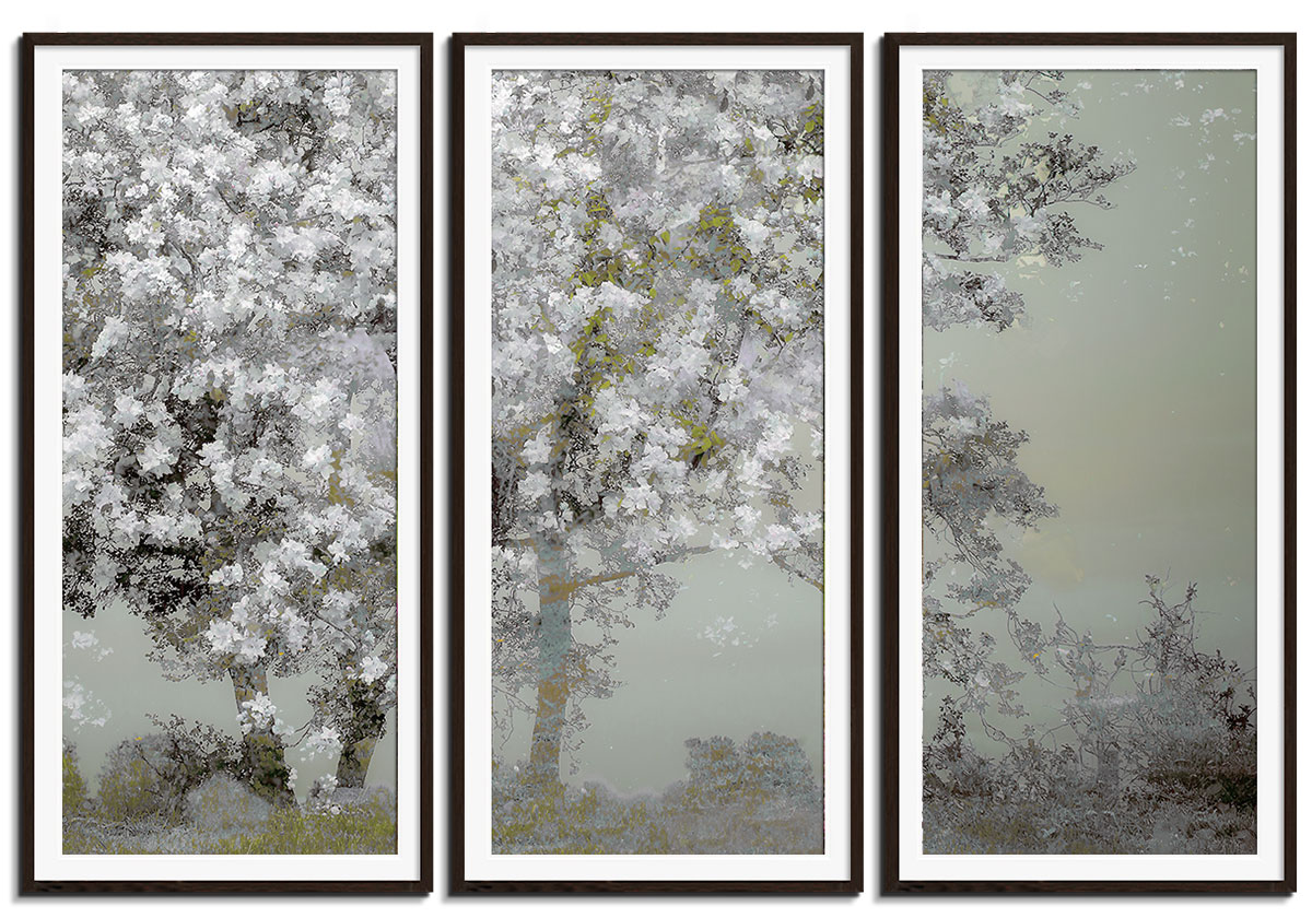 Spring by 