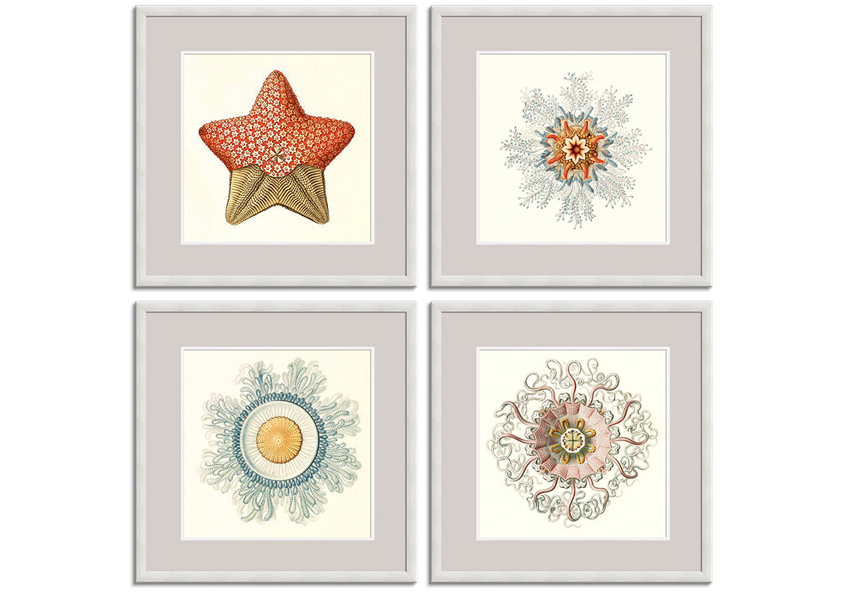 Marine Etching Set by 