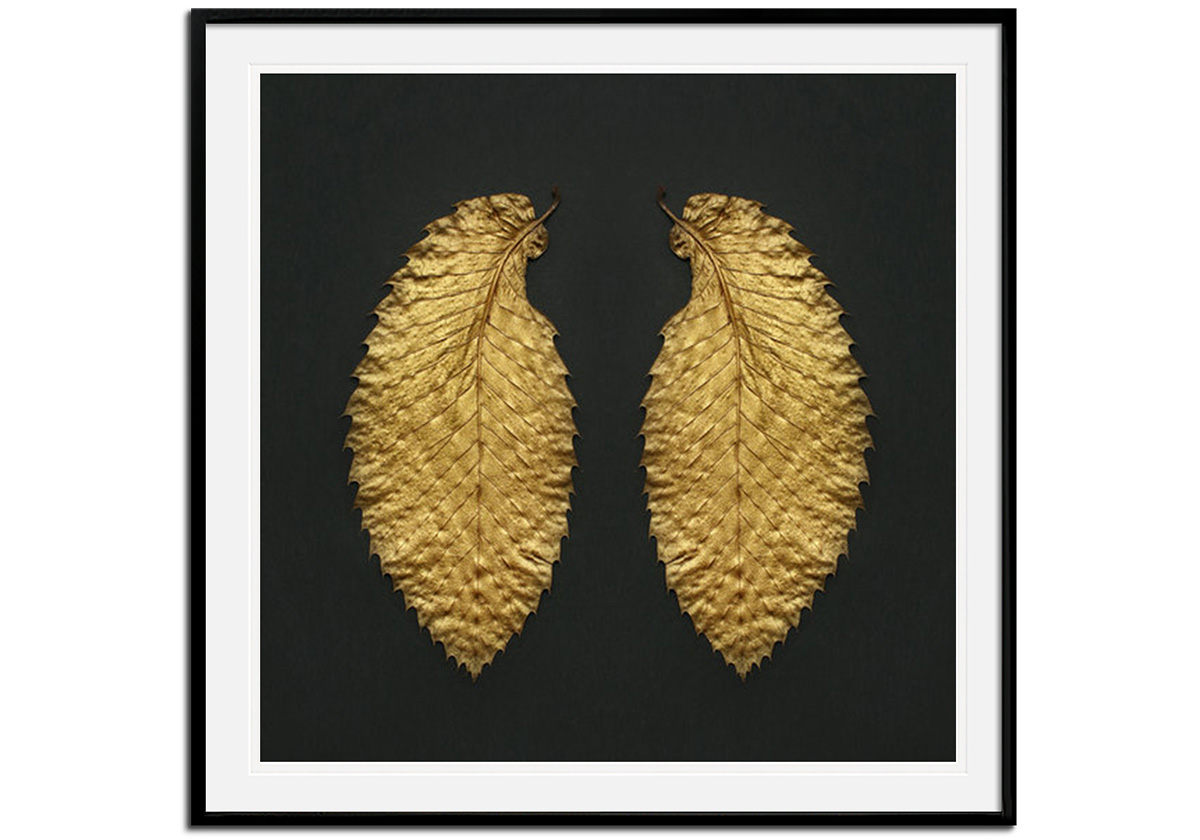 Gold Leaf Symmetry by 