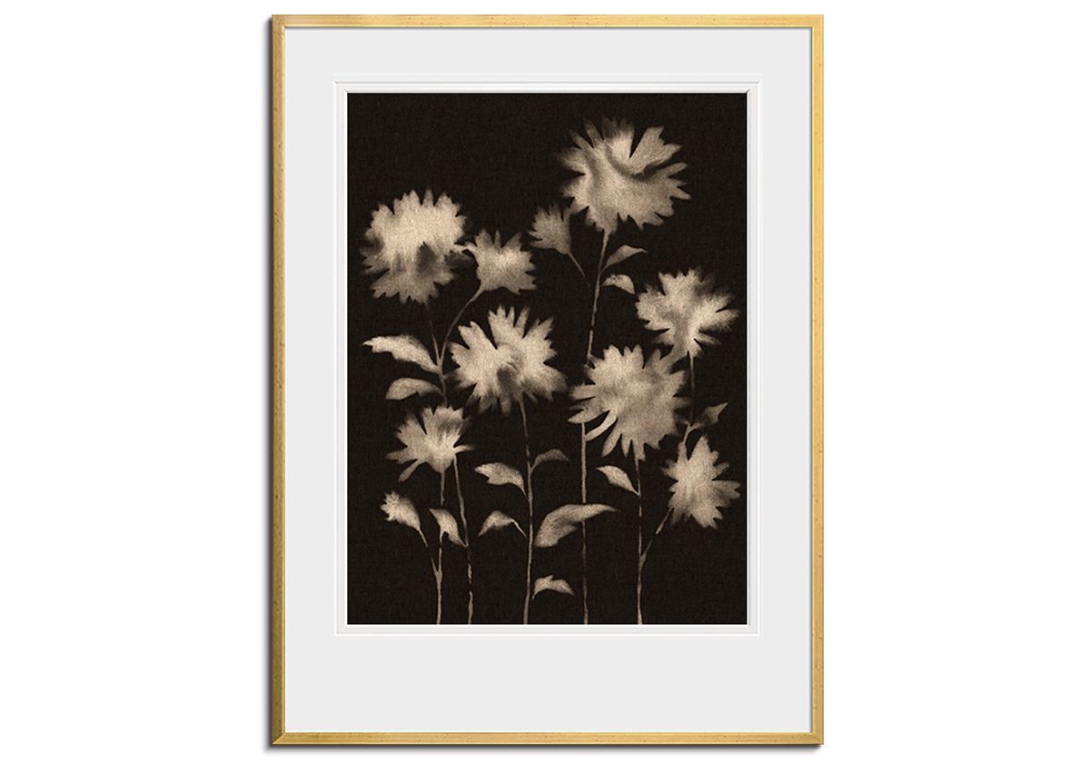 Hazy Daisies by 