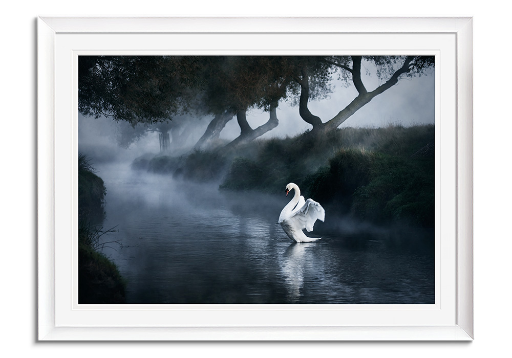 Angel by 