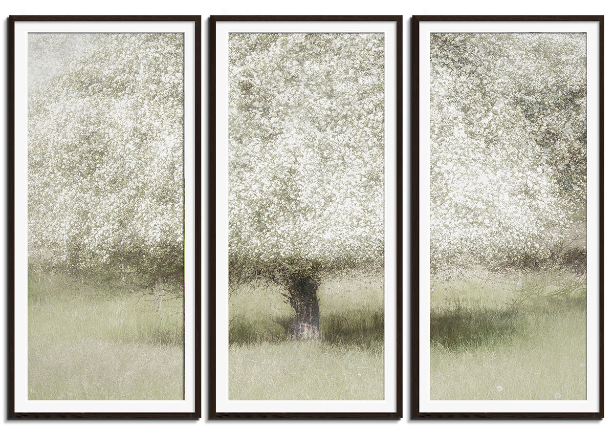 In the Backyard by 