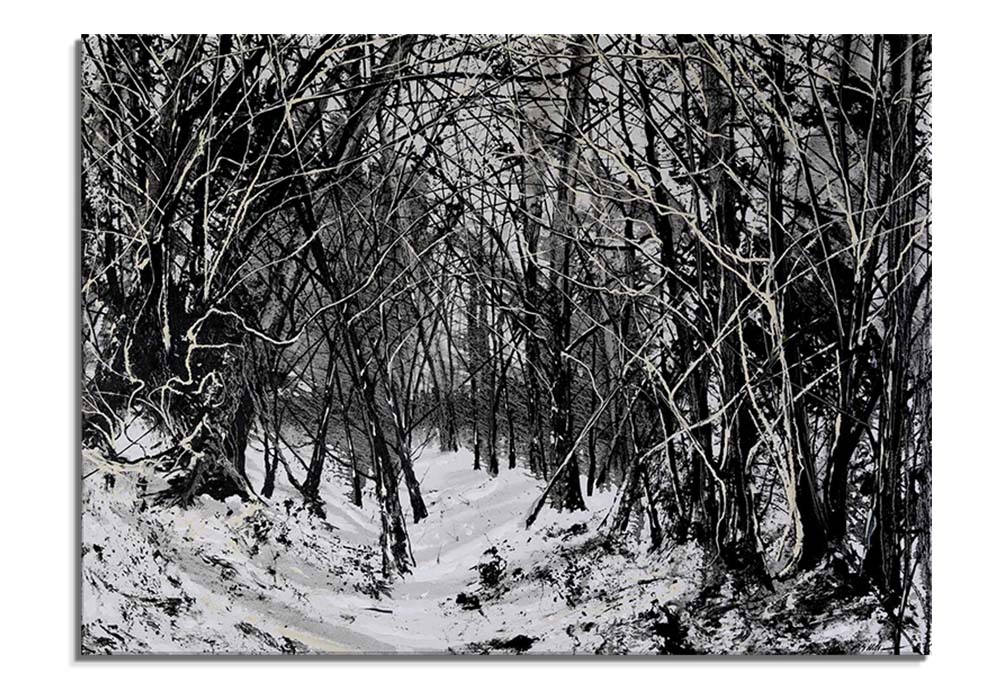 Winter Walk  by 