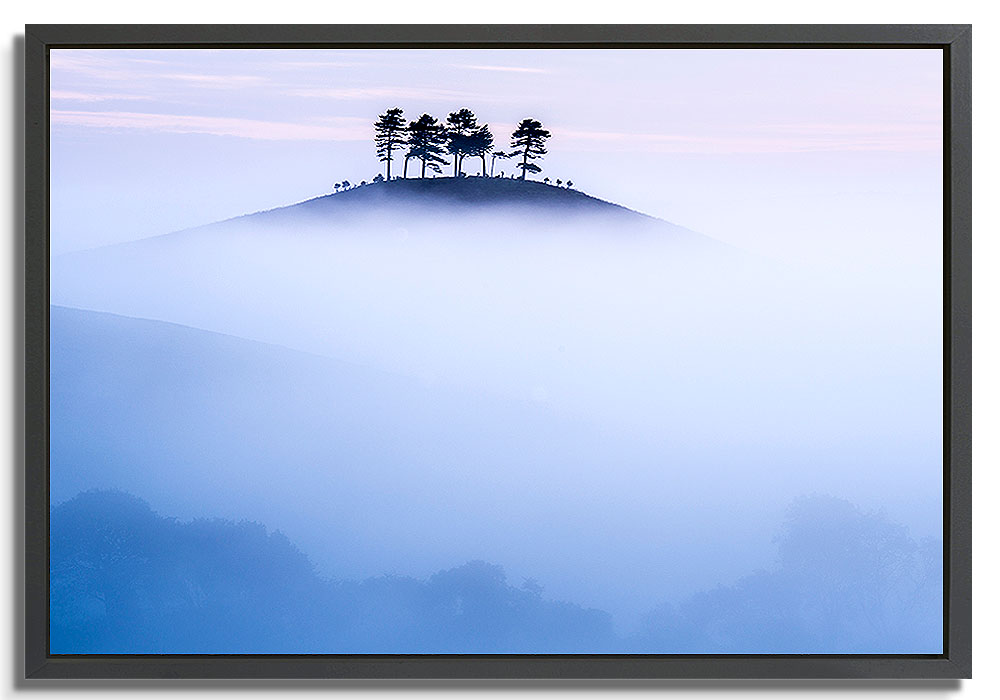 Colmers Hill - Framed canvas  by 