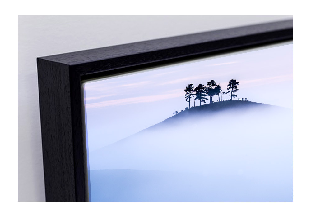 Colmers Hill - Framed canvas  by 