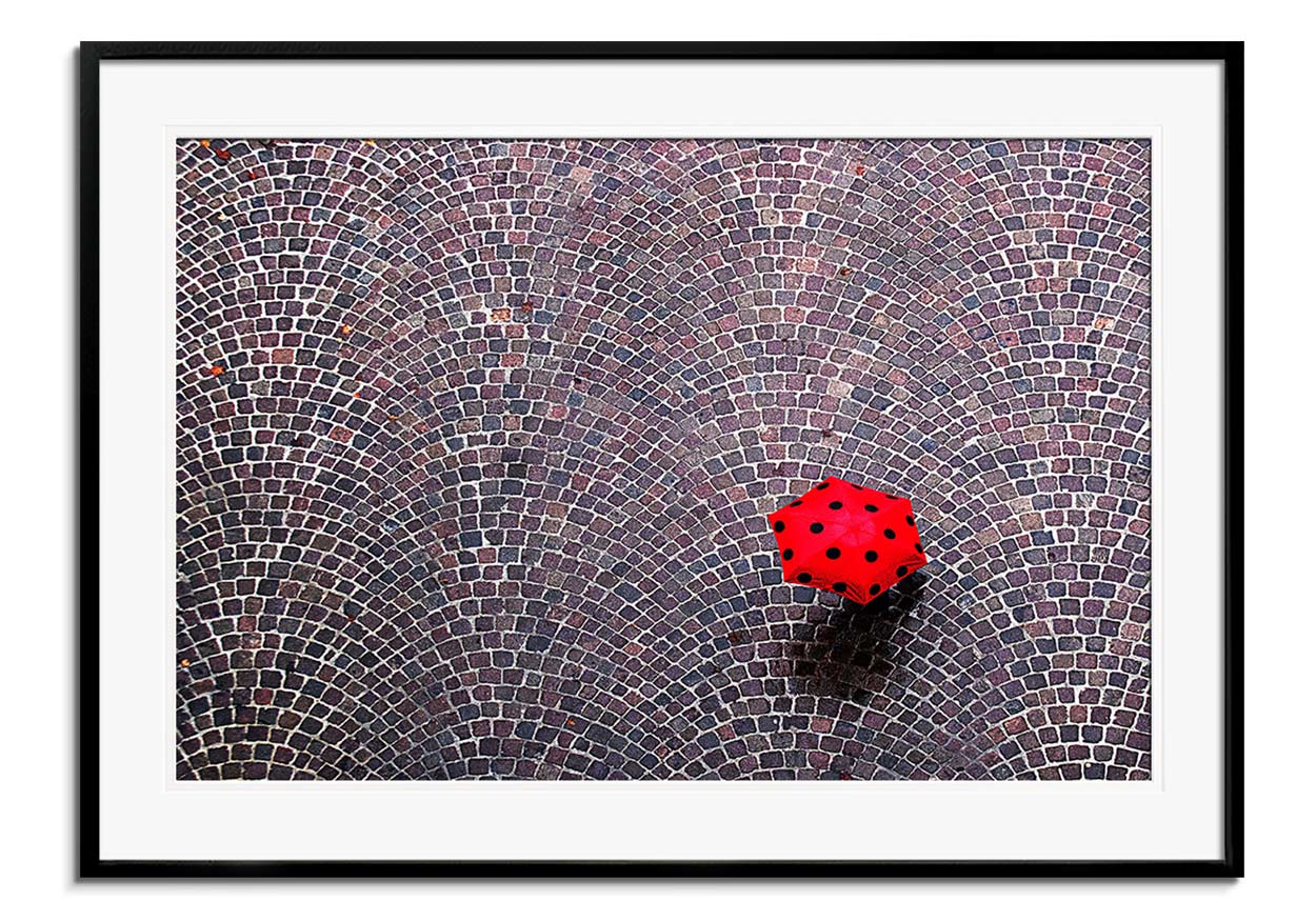 Urban Ladybug by 