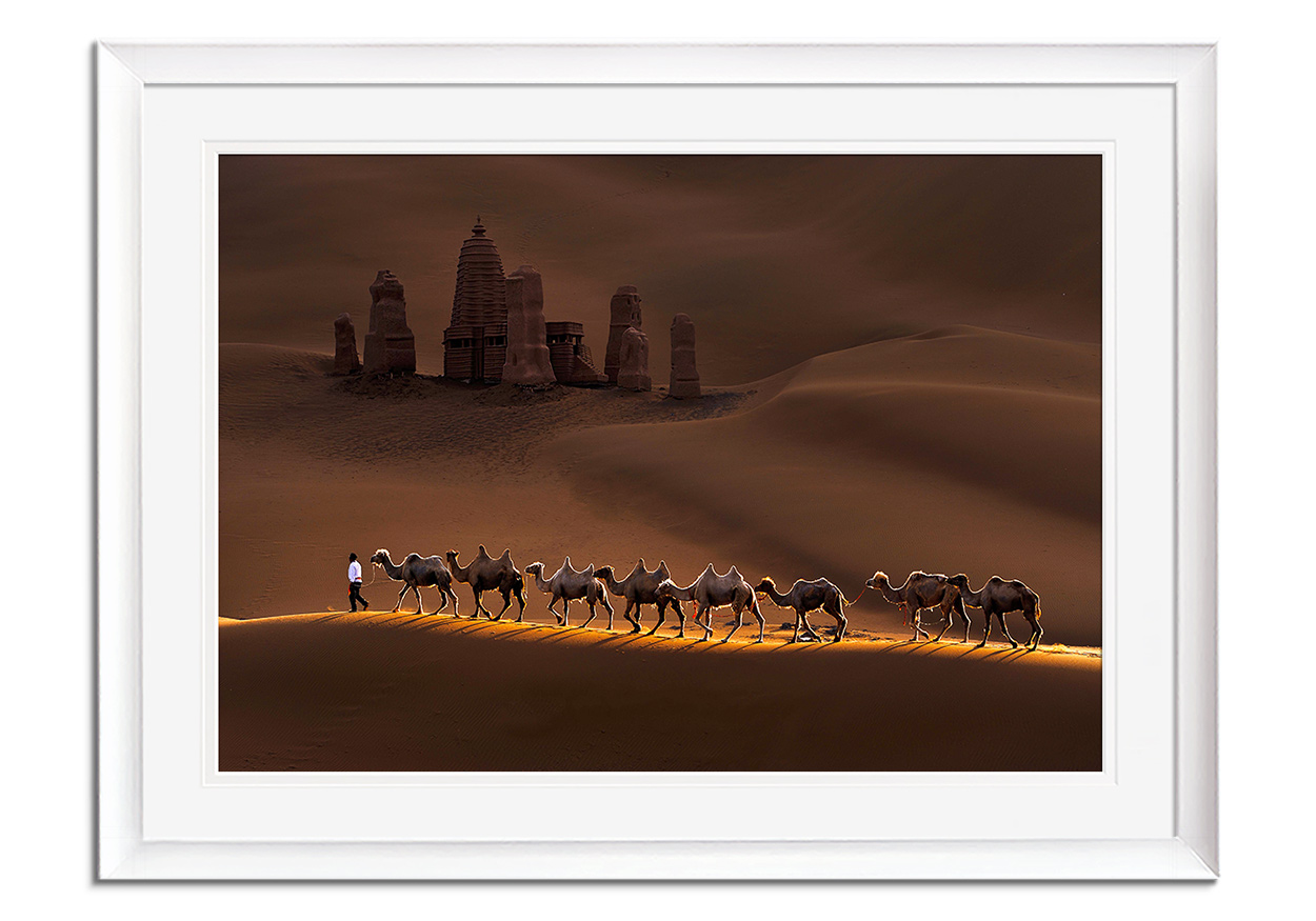 Castle and Camels by 