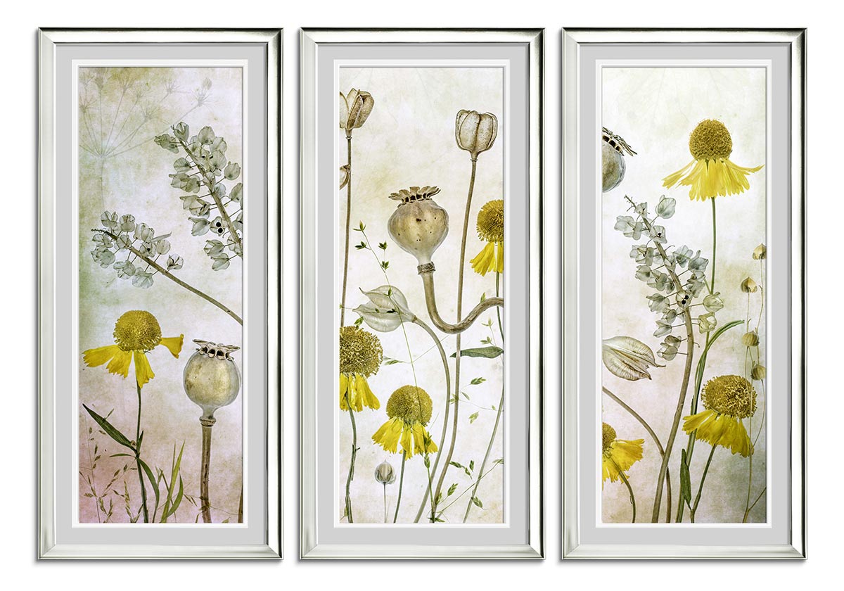 Poppies and Helenium by 