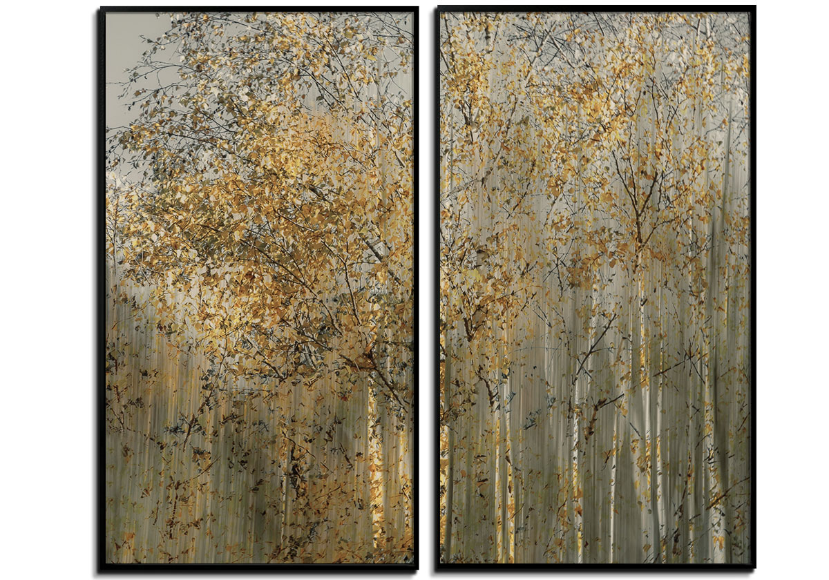 Birch Impressions by 